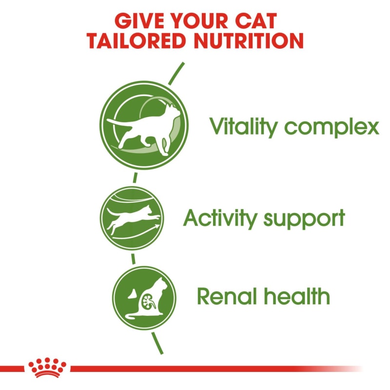 Royal canin hot sale cat outdoor