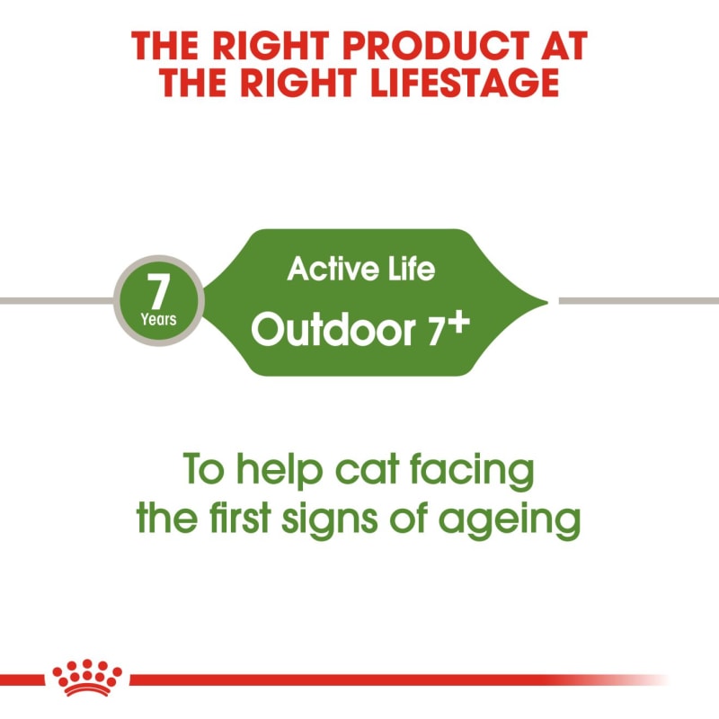 Royal canin sales cat outdoor
