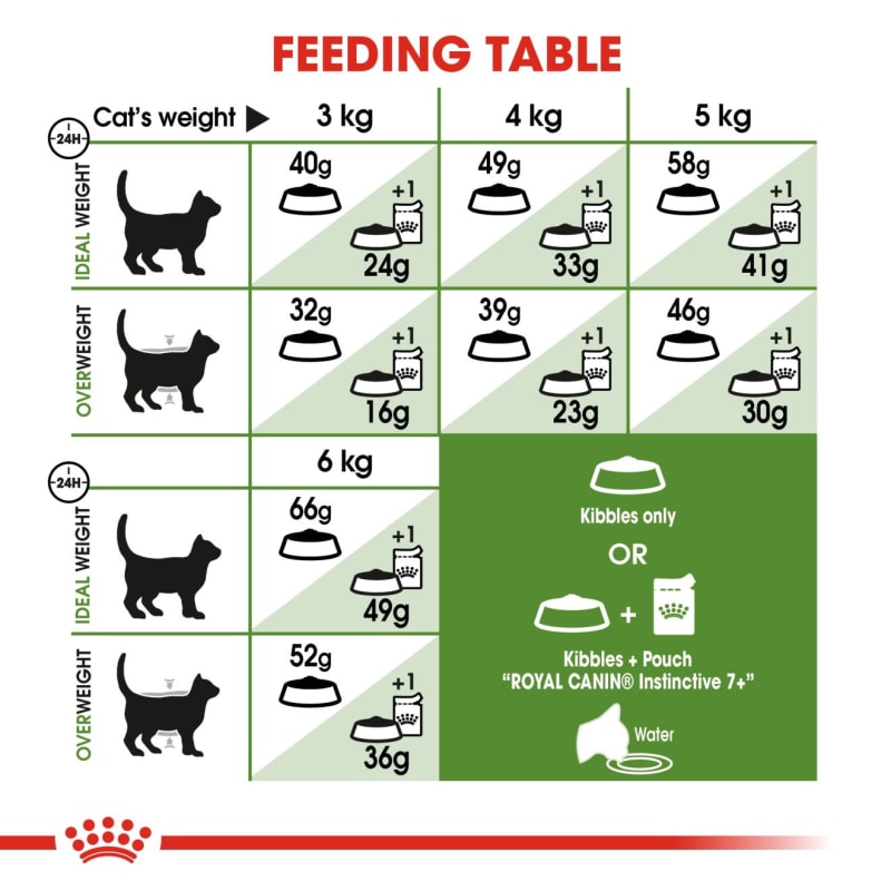 Royal canin fit and active best sale