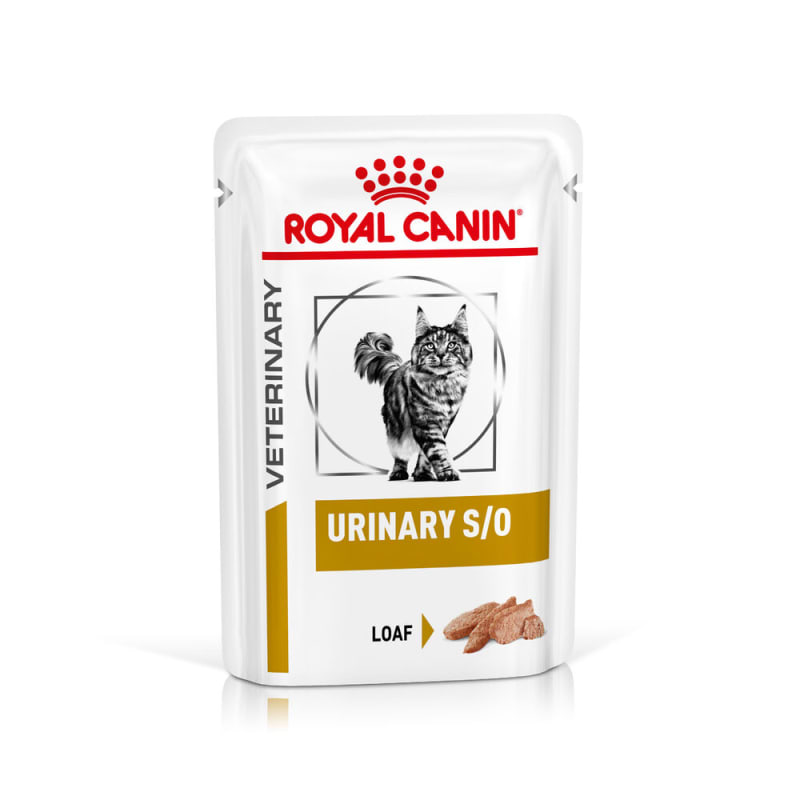 Royal canin beef deals