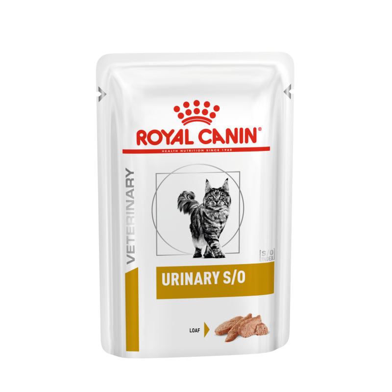 Best cat food for uti new arrivals prone cats