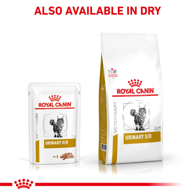 Royal canin urinary shop so cat food alternative