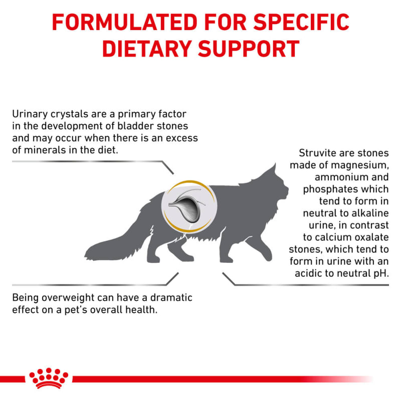 Royal canin urinary so 17.6 lb clearance