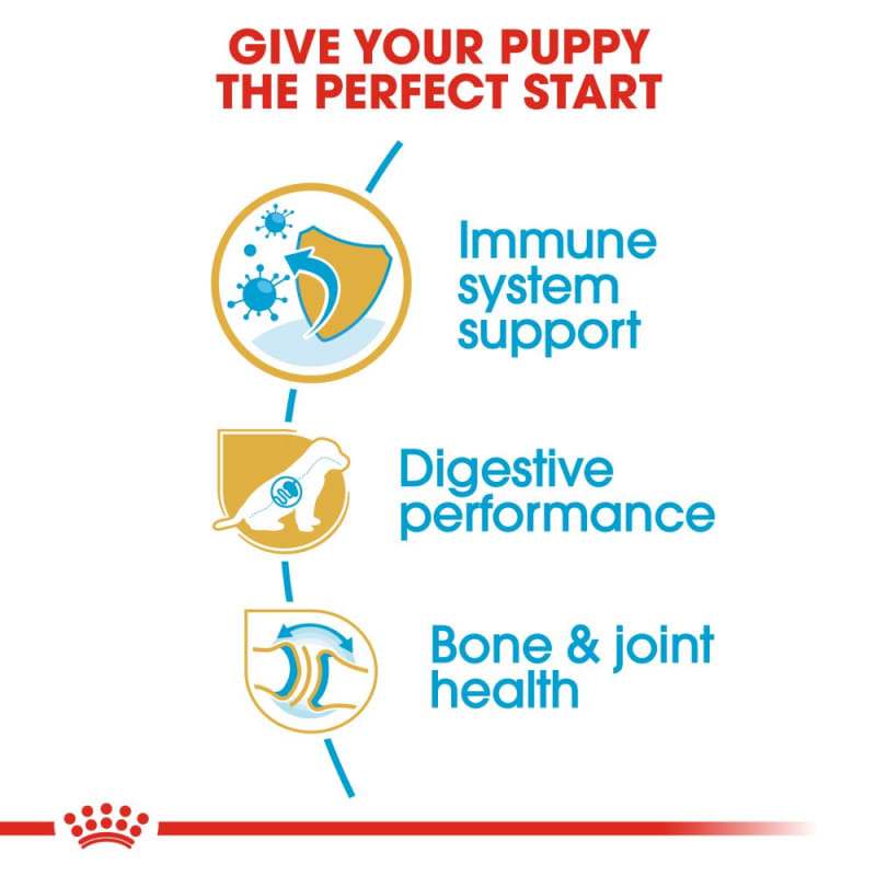 Royal canin german shop shepherd junior feeding guide