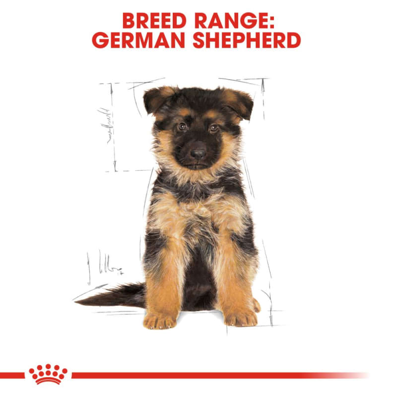 Royal Canin Breed Health Nutrition Pet Supermarket