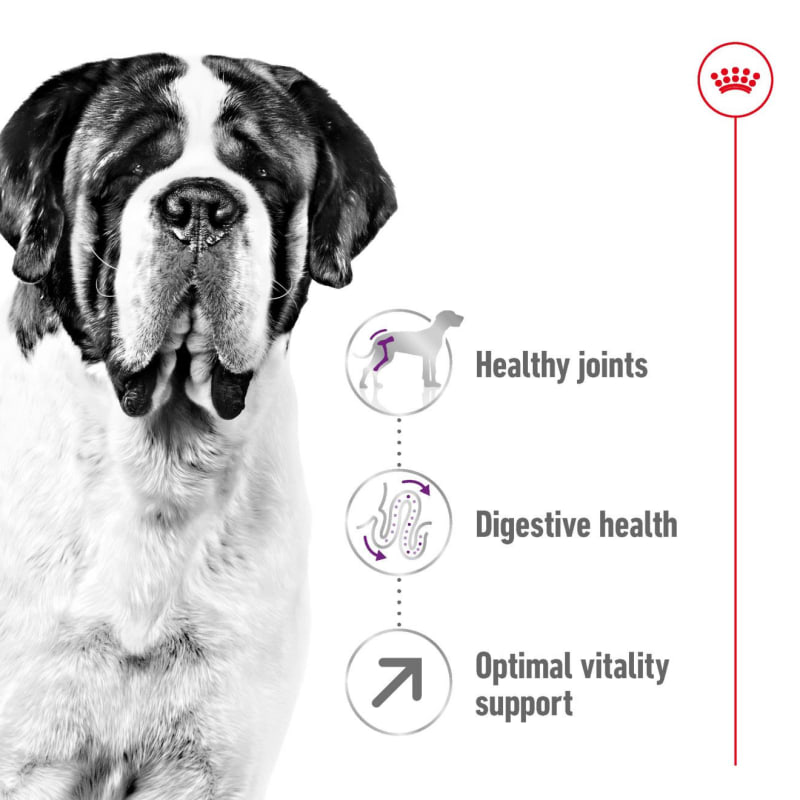 Royal canin hot sale giant adult