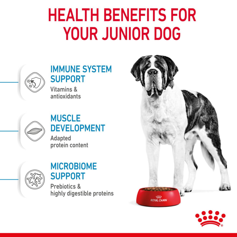 Royal canin great dane junior sale