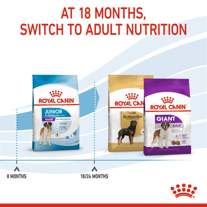 Royal Canin Size Health Nutrition Pet Supermarket