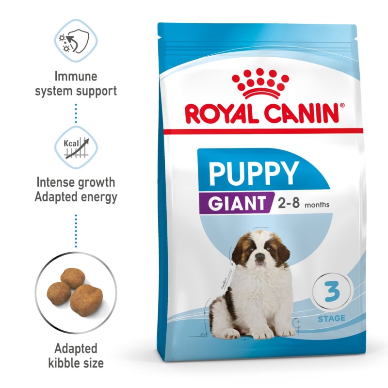 Dog food for 8 month new arrivals old puppy
