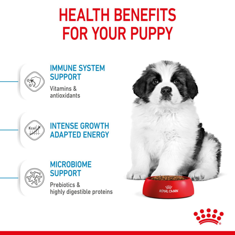 Royal canin sale bulk buy