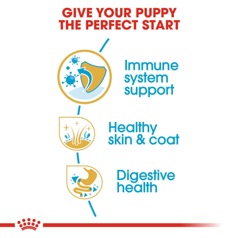 Royal canin breed health nutrition shop golden retriever puppy dry dog food