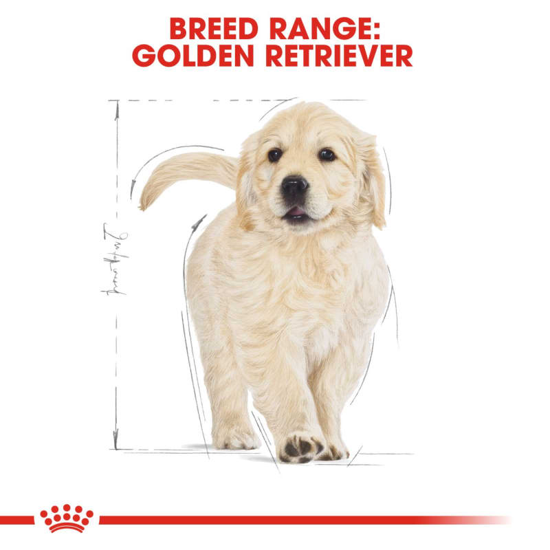 Royal canin golden retriever food reviews cheap