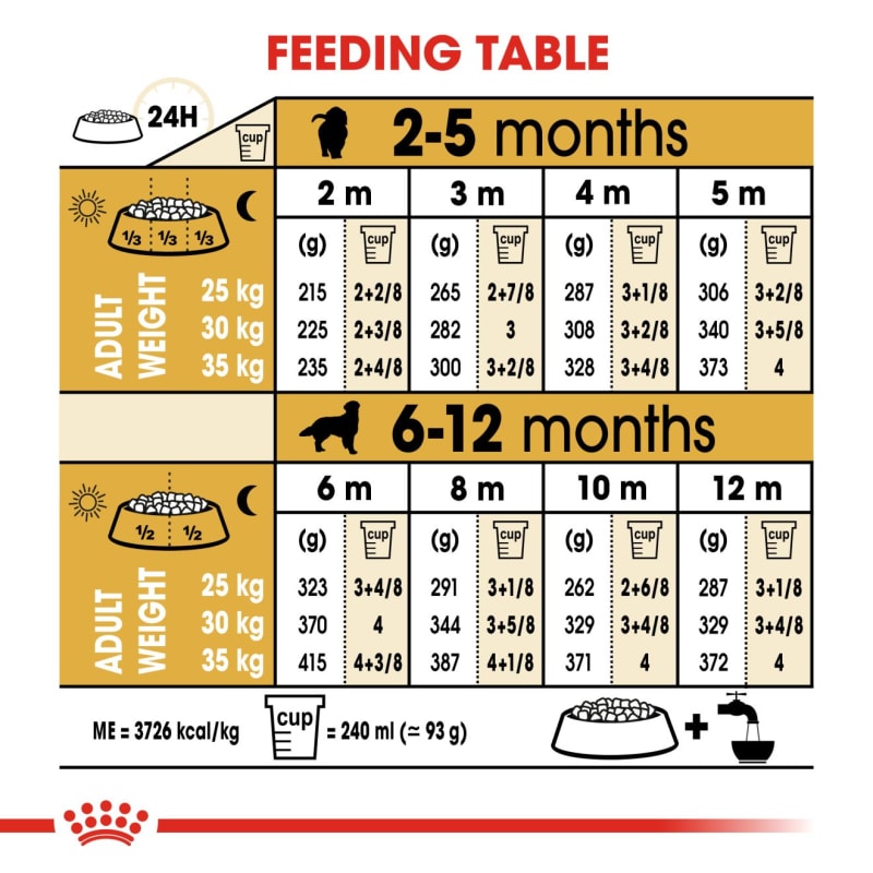 Royal canin golden retriever puppy 12kg shop