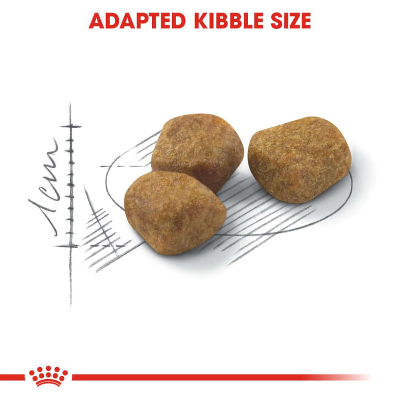 Royal canin indoor online adult