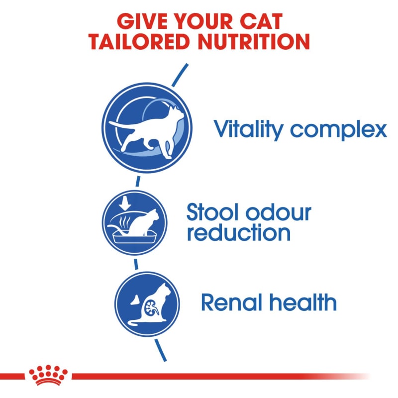 Royal canin indoor deals adult cat