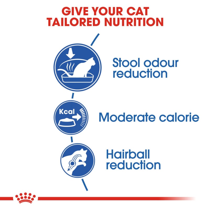 Royal canin indoor dry cat food discount