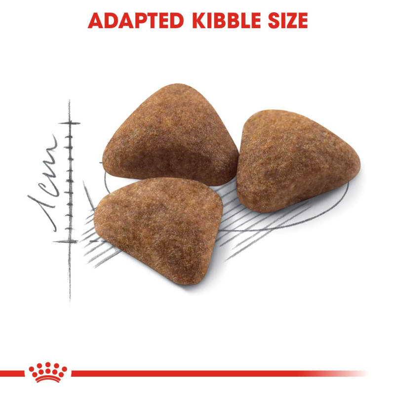 Royal Canin Indoor 27 Adult Cat Dry Pet Supermarket