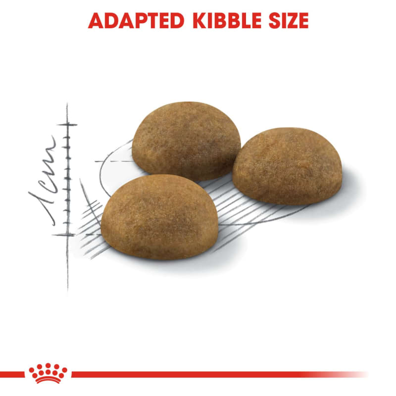 Royal Canin Indoor Long Hair Adult Pet Supermarket