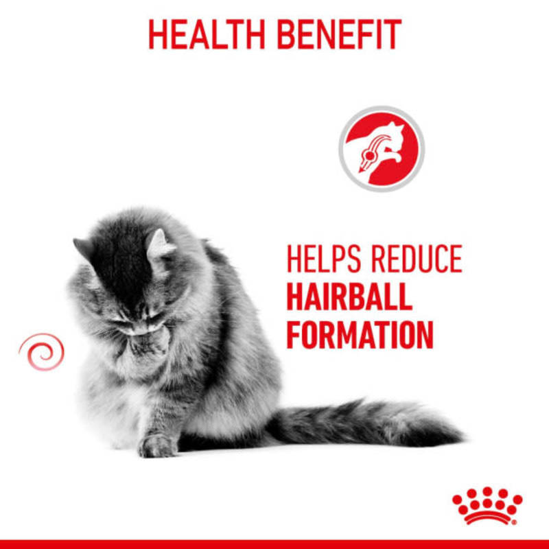 Royal canin care hairball hotsell