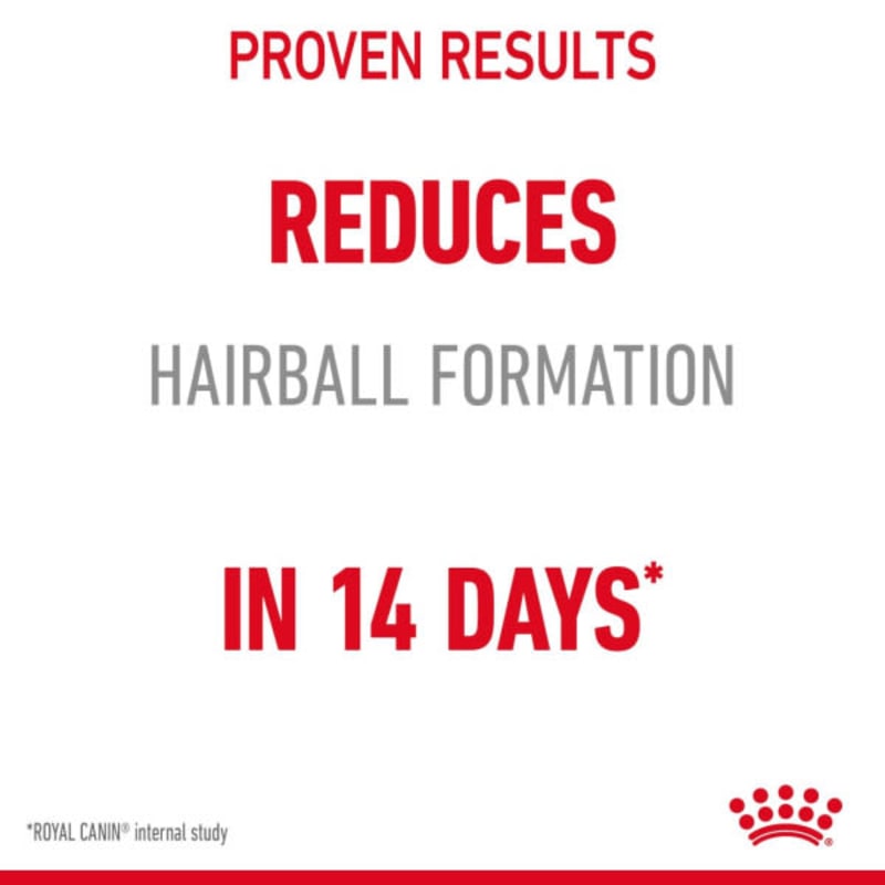 Royal Canin Hairball Care Adult Cat Pet Supermarket