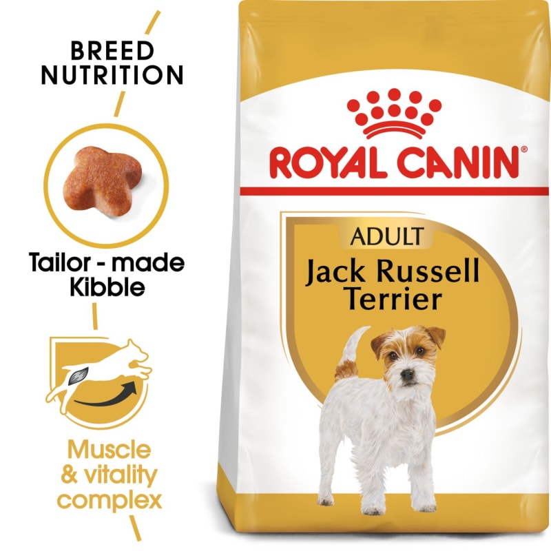 Jack russell food allergies 2025