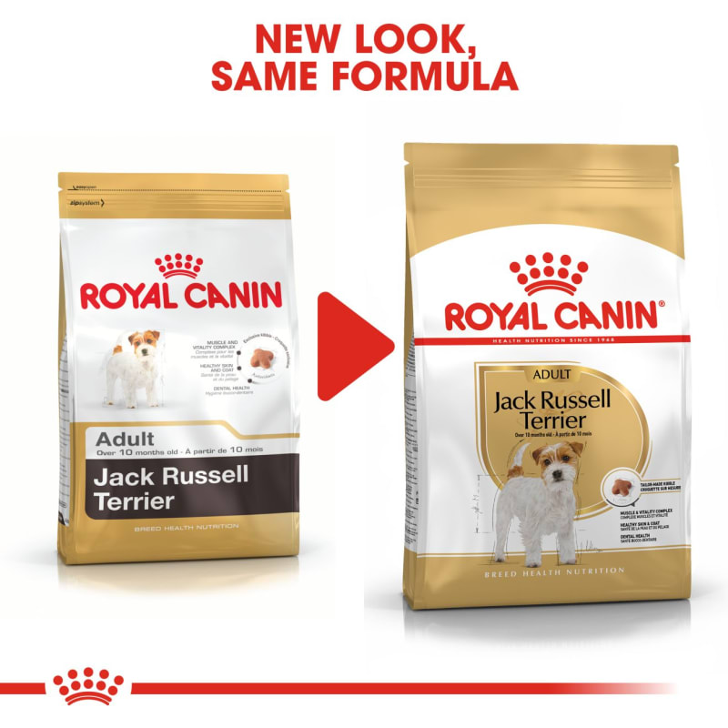 Royal canin for jack russell terrier online