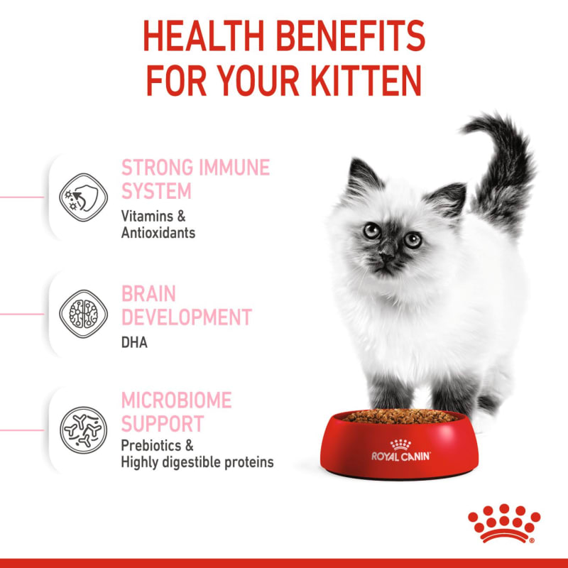 How much royal canin to feed my hot sale kitten