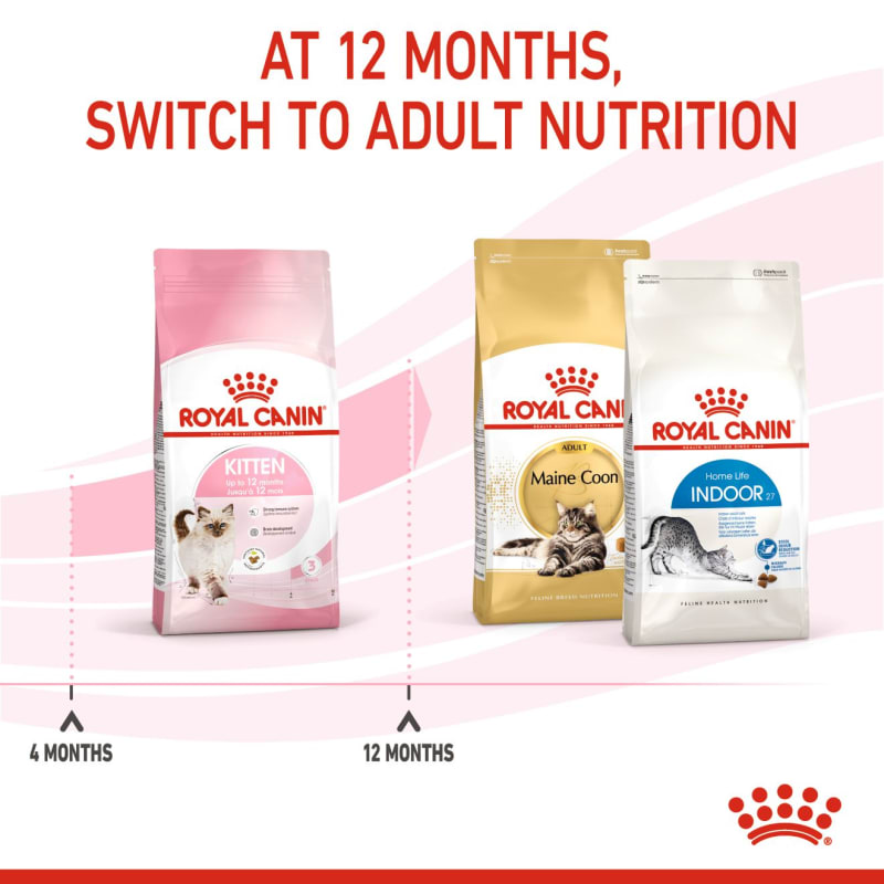 Royal canin deals kitten 400g
