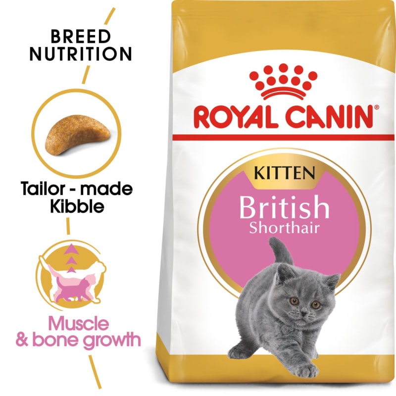 Royal Canin British Shorthair Kitten |