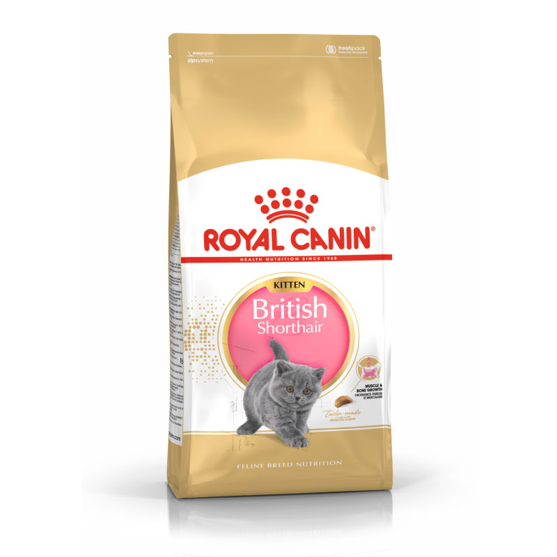 Royal Canin British Shorthair Kitten Pet Supermarket