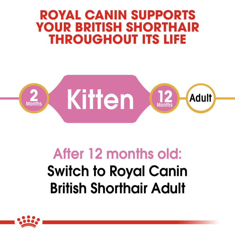 Royal canin british shorthair kitten 400g shop