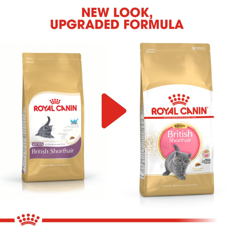 Royal Canin British Shorthair Kitten Pet Supermarket