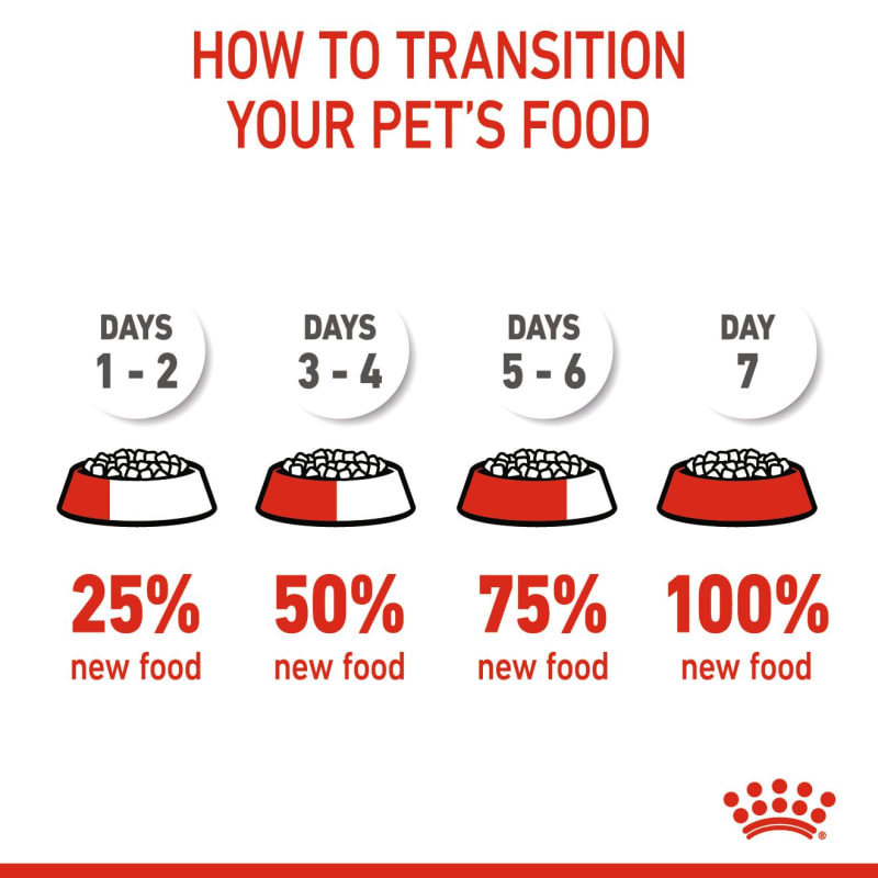Royal Canin Feline Health Nutrition Pet Supermarket