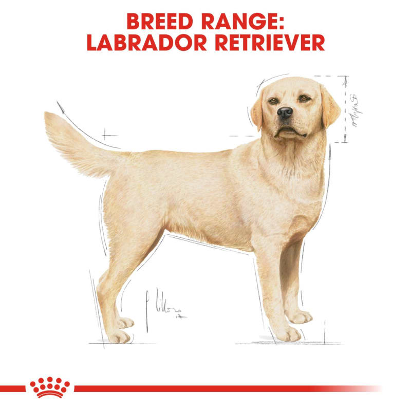 Royal Canin Breed Health Nutrition Pet Supermarket
