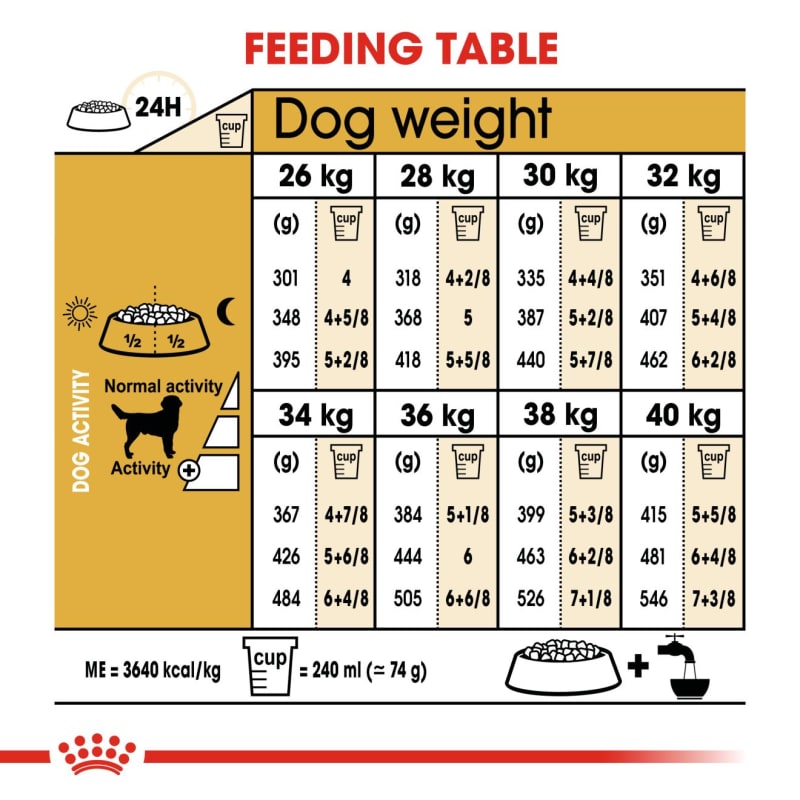 Labrador royal canin puppy 2025