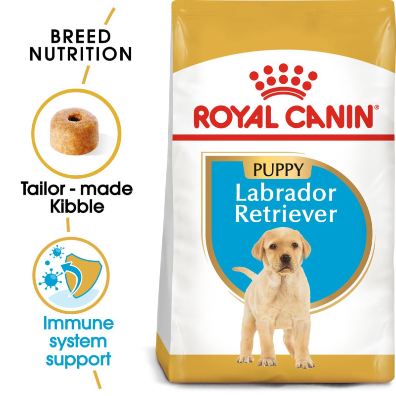 Labrador puppy food recommendations clearance