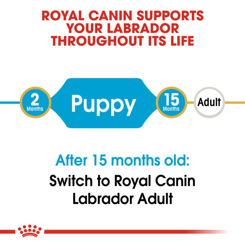 Royal canin sale labrador adult 12kg