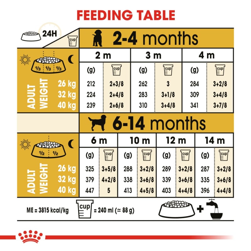 Royal Canin Labrador Retriever Puppy Pet Supermarket
