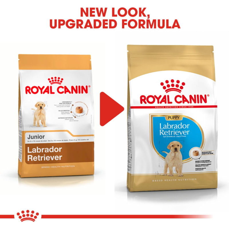 Royal canin labrador puppy deals