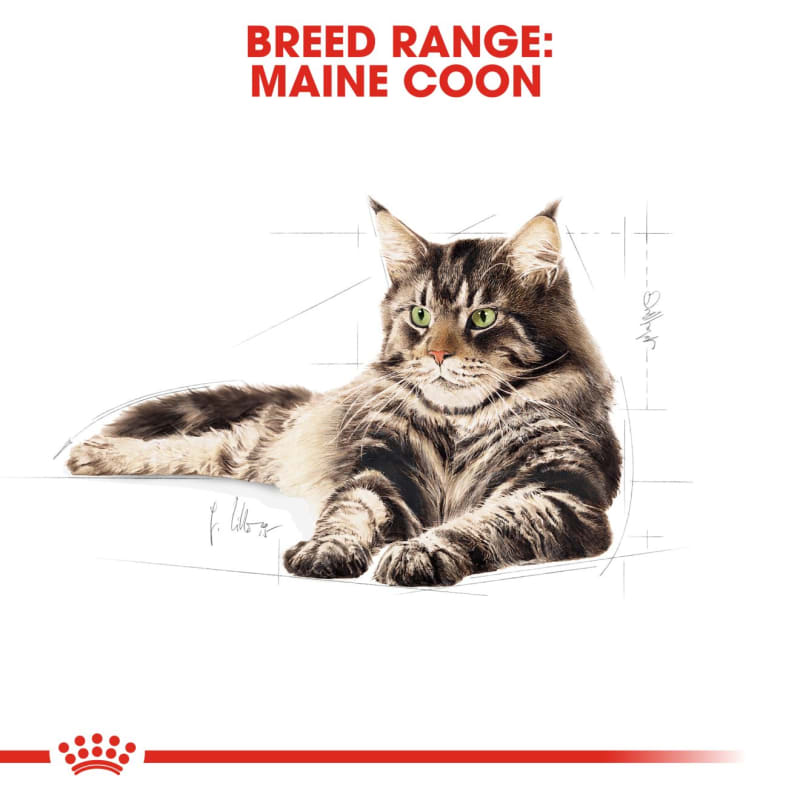 Royal Canin Feline Breed Nutrition Pet Supermarket