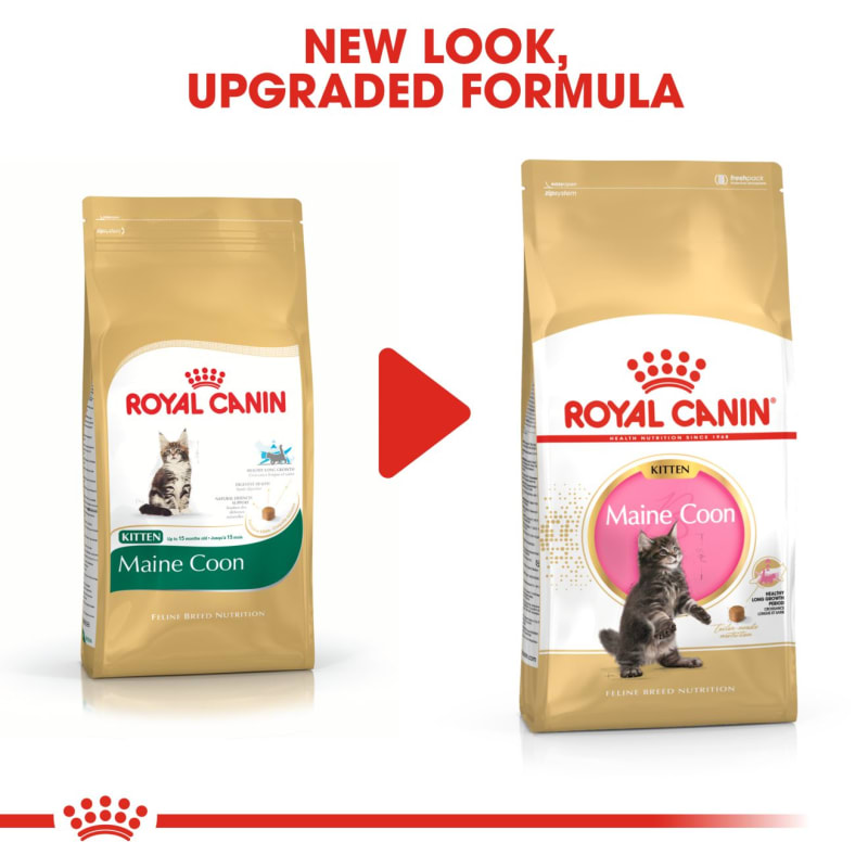 Royal Canin Maine Coon Kitten Cat Pet Supermarket
