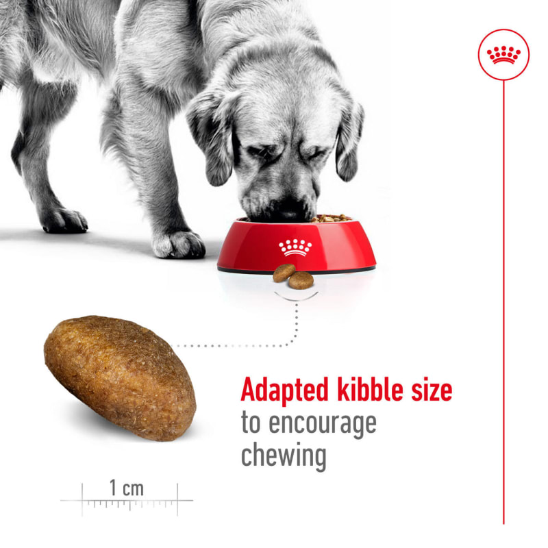Royal canin size health nutrition large adult dry dog cheap food