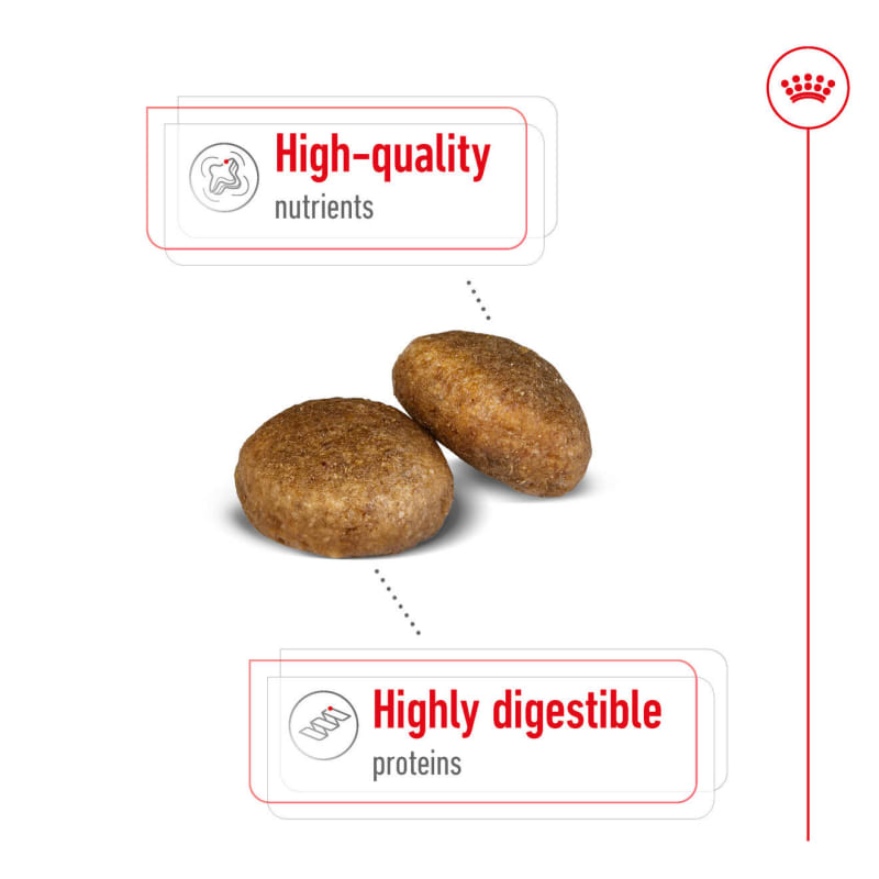 Royal canin maxi adult sale 4 kg