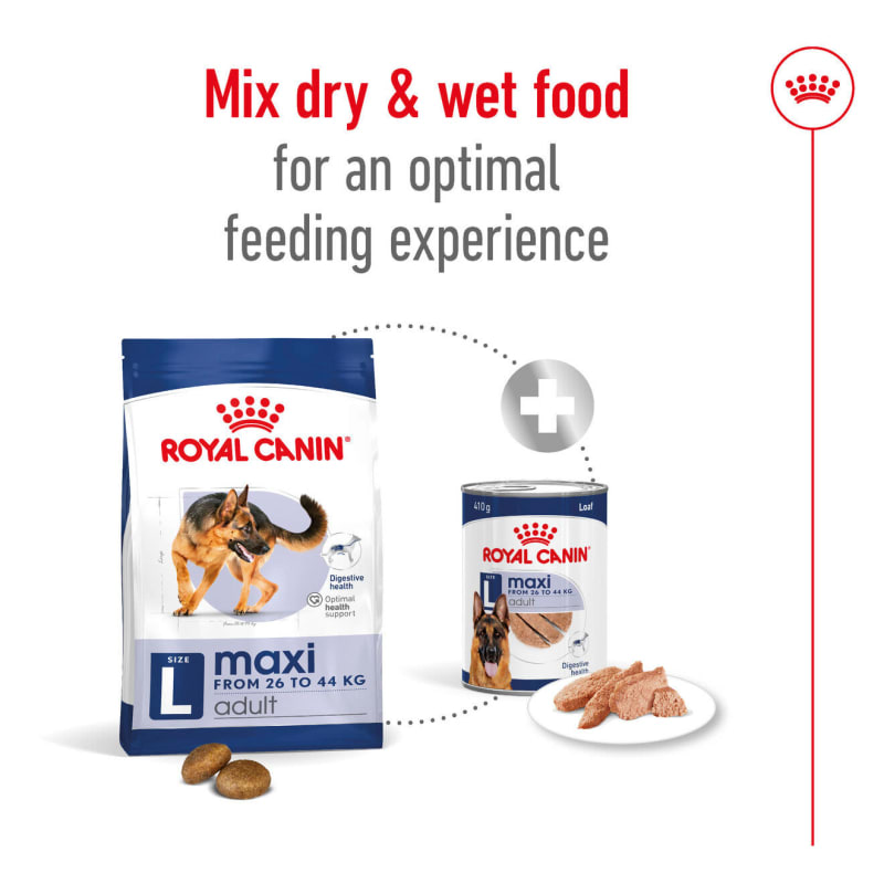 Royal canin high protein dog food best sale
