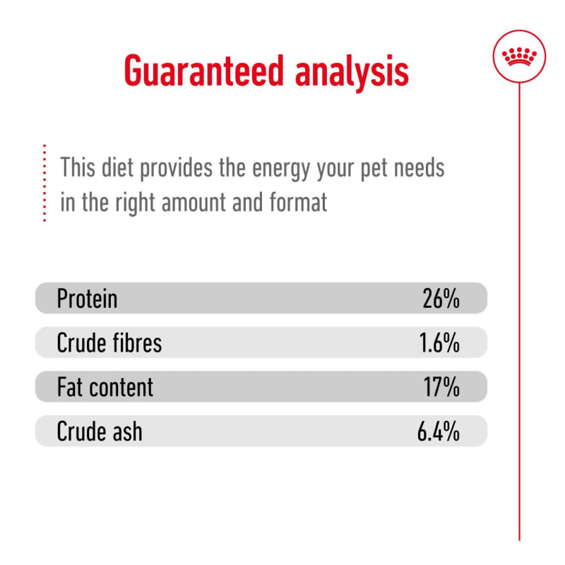 Royal Canin Maxi Adult 5 Mature Dog Pet Supermarket