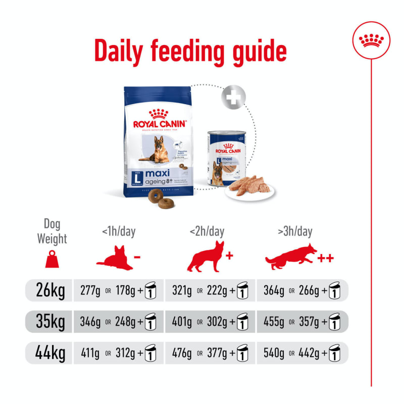 Royal Canin Maxi Ageing 8 Mature Pet Supermarket