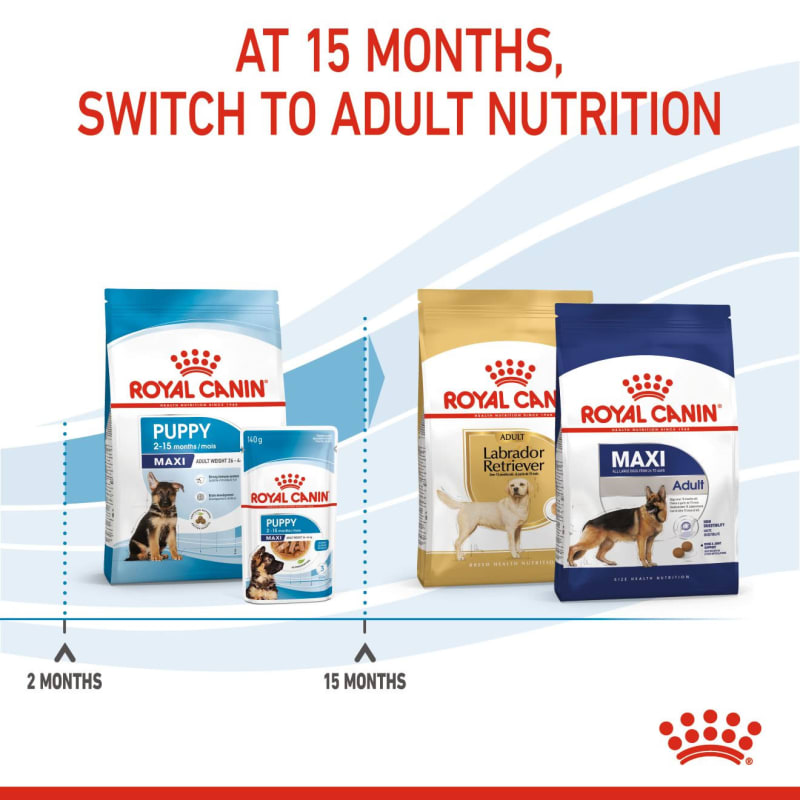 Royal Canin Size Health Nutrition Pet Supermarket