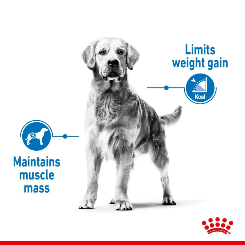 Royal Canin Maxi Light Weight Care Pet Supermarket