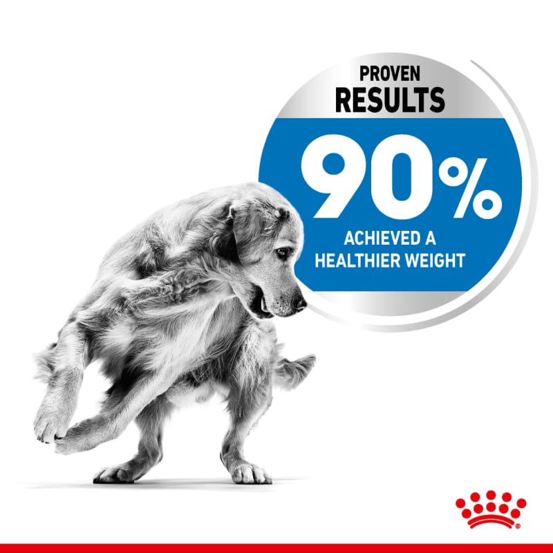 Maxi light weight care hotsell