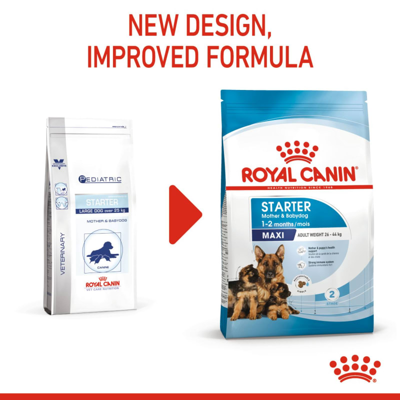 Royal canin starter food sale